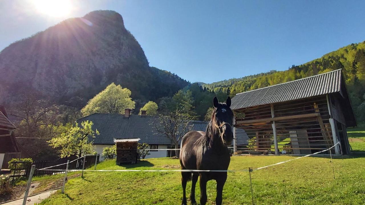 Apartmaji Pekovec Bohinj Eksteriør bilde
